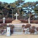 신나무골까페