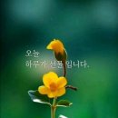 재단법인 가평군복지재단(청평노인복지관) | [실버건설이 뜬다] ②“여기 와서 똑똑해졌어요” 가평 청심빌리지에서 만난 입주민들