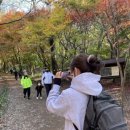 시루봉2농장 이미지