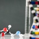 선창초교 이미지