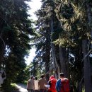 24.07.06 Hurricane Ridge Trail 1 이미지