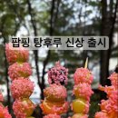 톡톡탕후루
