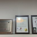 비바골프 이미지