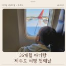 36개월 아기랑 제주도 여행 첫째날 - 김포공항 티웨이 저녁비행기
