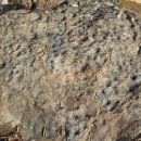 망우당행장 이미지