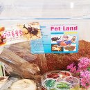 화성사슴농장 이미지