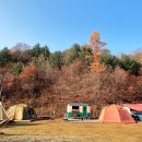 낭만캠프 이미지