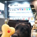 봉구세차장 이미지