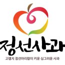 사과약국 이미지