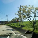 하얀별모텔 이미지