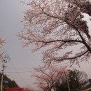 하예동-4 이미지