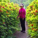 농부네텃밭도서관 이미지