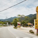 깊이울관광농원(깊이울 캠핑장) 이미지