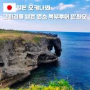 가로수마을지역아동센터 | 오키나와 여행 가볼만한곳 추천 북부 버스투어 만좌모