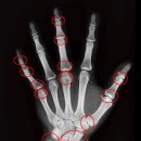 가천대학교부속 길한방병원 이미지