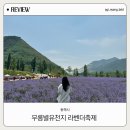 삼화쉼터식당 | 2026년 6월 무릉별유천지 라벤더 축제 일정 입장료