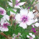 이화아트 이미지