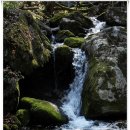 치악산자연휴양림 이미지