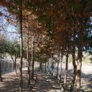 완산-66 이미지