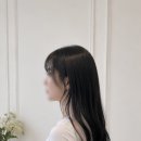 모요붙임머리 네이버블로그