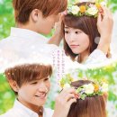 식물도감 이미지