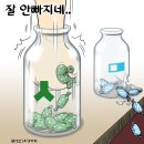 ☯ ☯【민주평화당 20석만 되면】안철수 낙동강 오리알 신세 이미지