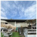 오션스케치 이미지