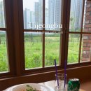 카페세렌디피티