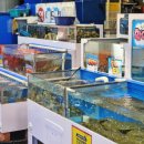 아도수산 이미지