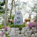 6월17일(토)아차산 숲길과 긴고랑계곡 이미지