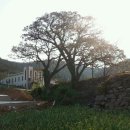 송곡경로당 이미지