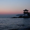 오선농장 이미지