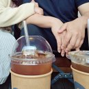 회뜨는여자