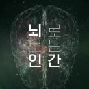 돈이 인간의 행동에 미치는 영향과 빈곤층 아이들의 뇌 발달 문제를 살펴봅니다 ＜뇌로 보는 인간 1부 돈＞ 이미지