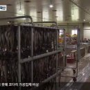 강원도신황태찜 이미지