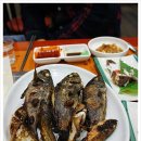 자연산산꼼장어 이미지