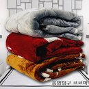 코코하우스 Daum카페