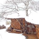 전남 여수 돌산읍 쌍둥이네흙집펜션 팬션 이미지