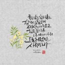 오늘 또 캘리 이미지