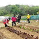 구로농장 이미지