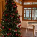 노랑고래(광영점) 이미지