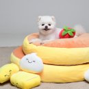 스튜디오 눕 이미지