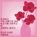 죽음보다 강한 사랑 이미지