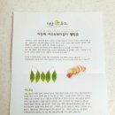 이안영농 | 이안영농조합법인 이안푸드 여주즙!