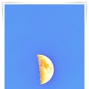 초등수학지도사 2급 이미지