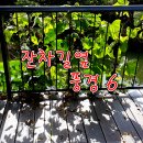 농수산물직거래장