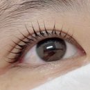 나은뷰티