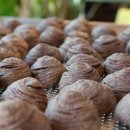 곡성-206 이미지