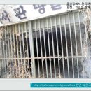 신나는 전주 큰집 가기(3-집으로~) 이미지