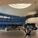 여주-1119 | 여주 자유cc 라운딩 후기 (feat. 스타벅스)